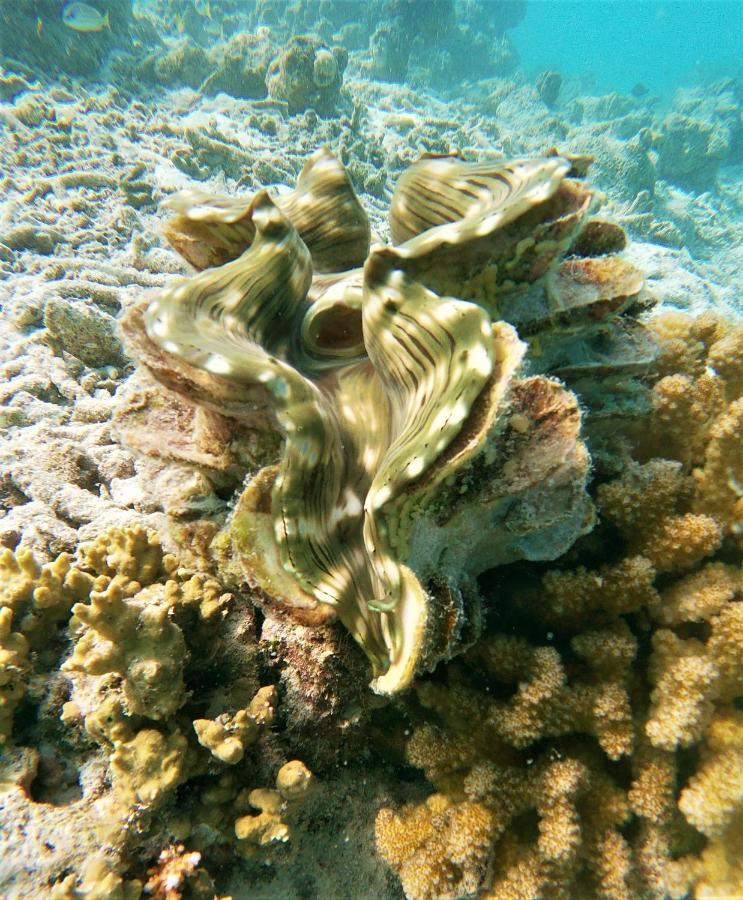 One The Island Hotell Naifaru Exteriör bild